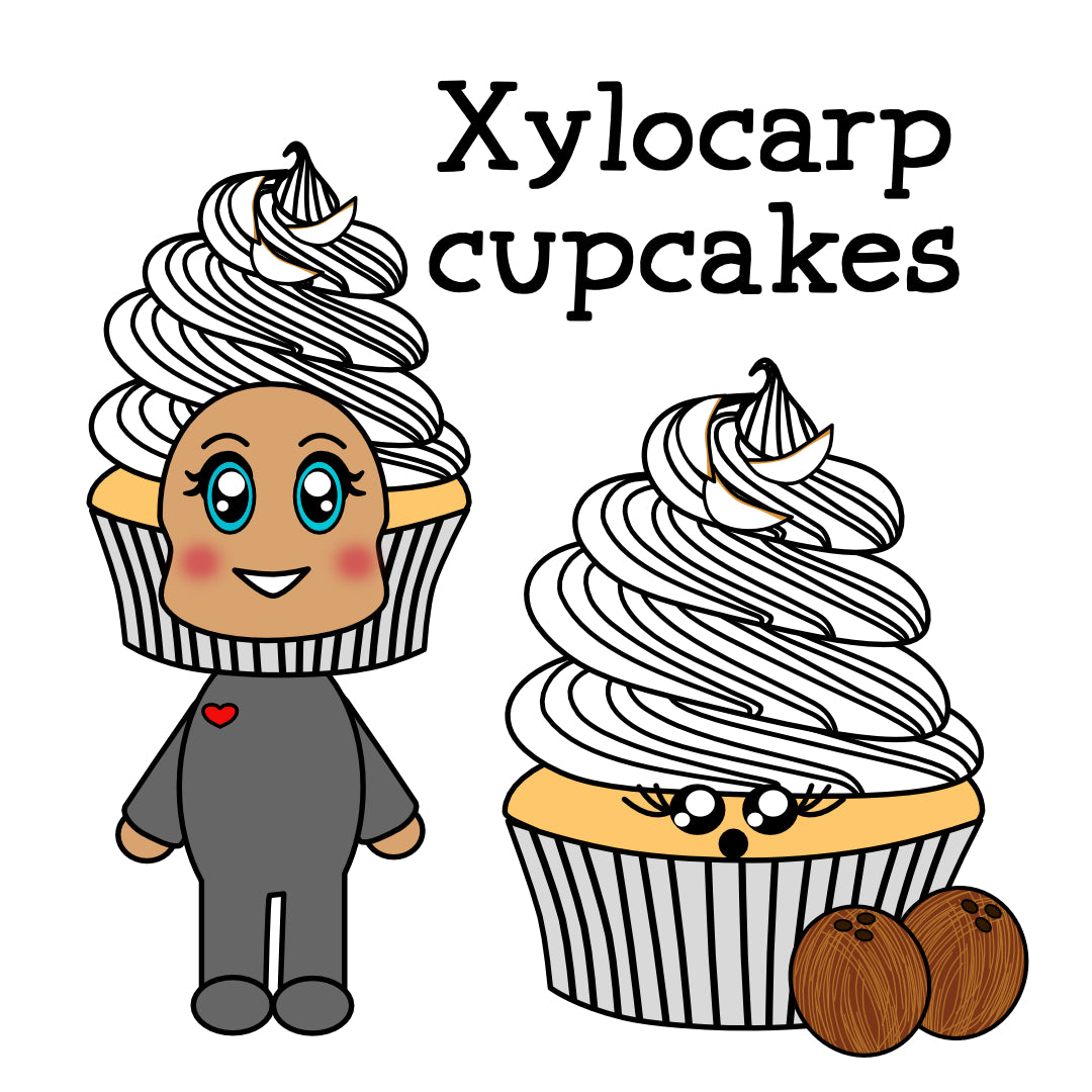 xylocarp (coconut) cupcake